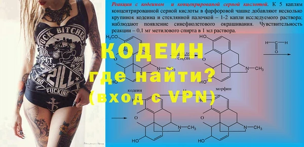 дурь Алексин